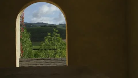 Stairwell view1 Stock-Footage 10916633