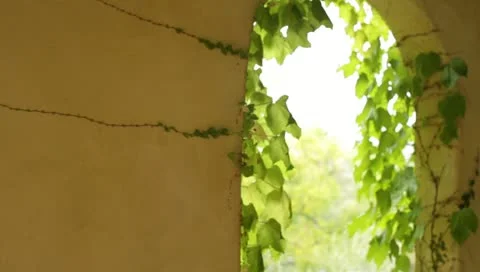 Stairwell2 Stock-Footage 10916616