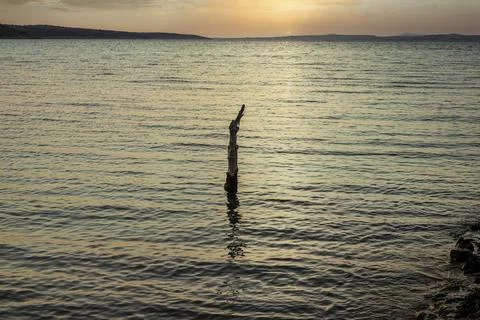 A stake in the ocean at sunset Stock Photos