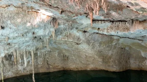 Stalactite Formation in a Cavernous Cenote Stock Footage 274324381