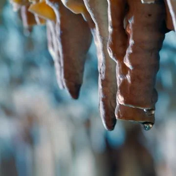 Stalactite stalagmite cavern Stock Photos