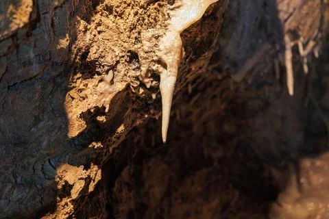 Stalactite Stone Formation Close-up on Cave Ceiling Stock Photos