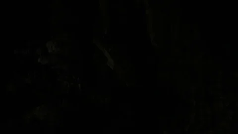 Stalagmite cave Stock Footage 72030244