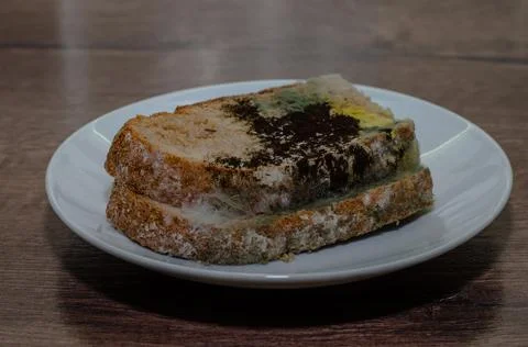 Stale bread covered with black mold on a white saucer Stock Photos
