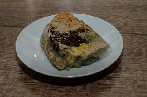 Stale bread covered with black mold on a white saucer Stock Photos