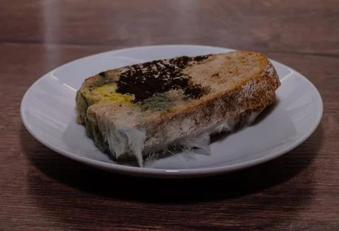 Stale bread covered with black mold on a white saucer	 Stock Photos