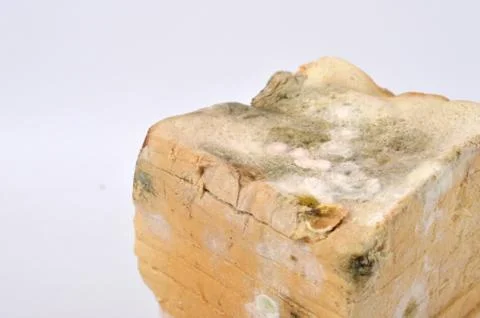 Stale white bread Fotos Stock
