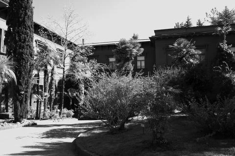 Stalin's Dacha Part 3 Stock Photos