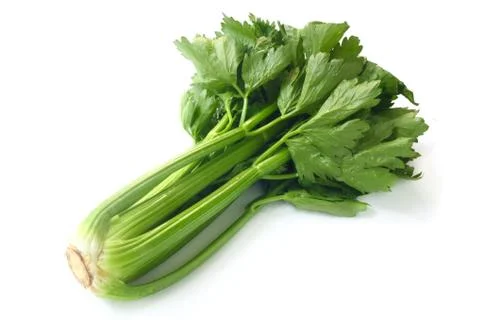 Stalk Celery Stock Photos