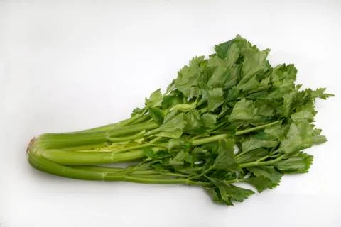 Stalk of celery on white background Stock Photos
