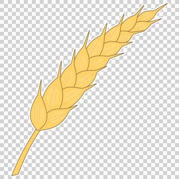 Stalk of golden wheat Stock Illustration