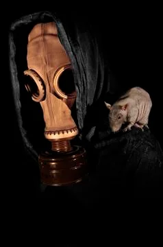 Stalker and rat. Stock Photos