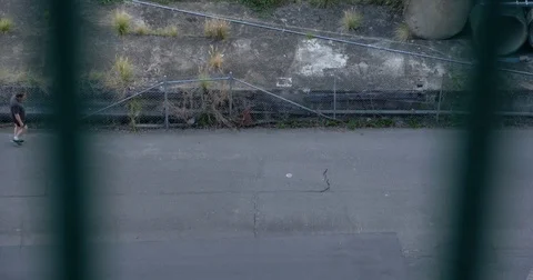 Stalker lurking above Stock Footage 73025898