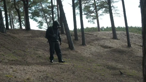 Stalker walk around the forest Stock Footage 196984164