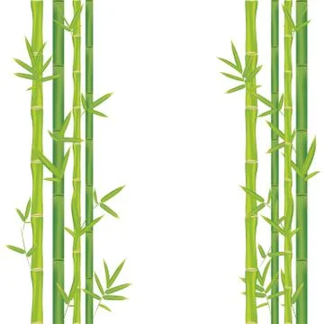 Stalks of bamboo Ilustración de archivo