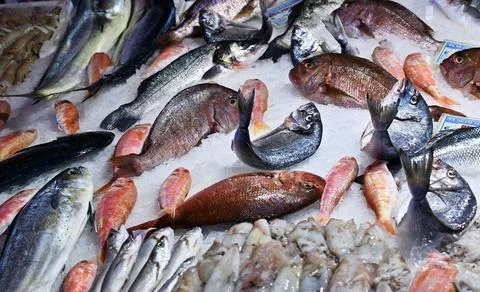 Stall with assorted fresh seafood Foto stock