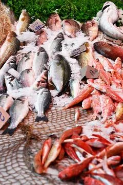 Stall with assorted fresh seafood Stock Photos