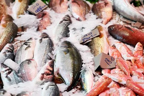 Stall with assorted fresh seafood Stock Photos