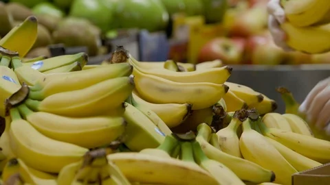 Stall holder arranging bananas at fruit and vegetable market Stock Footage 90407269