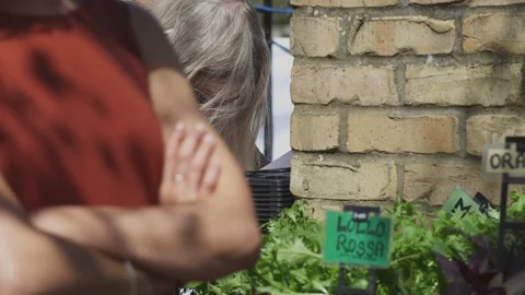 Stall selling plants Stock-Footage 93201096