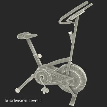 stamina indoor cycle 1305