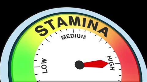 Stamina Level Text or Word  Low and Medium to High Meter Concept Animation Stock Footage 288597082