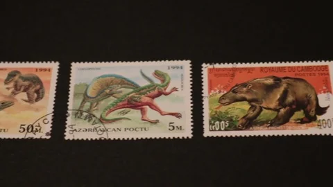Stamp collection of dinosaurs Stock Footage 82466271
