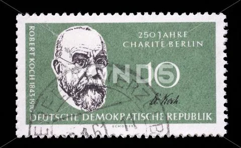 Stamp issued in Germany - Democratic Republic shows Prof. Dr. Robert Koch Stock Photos