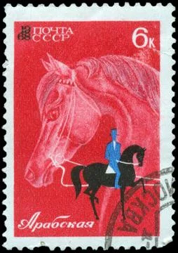 Stamp, macro Foto stock