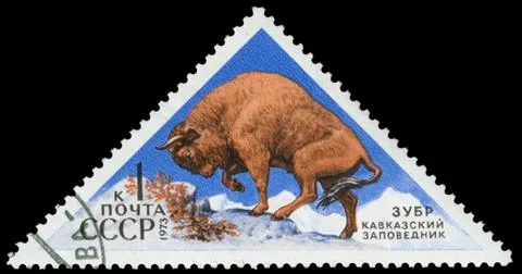 Stamp, macro Stock Photos