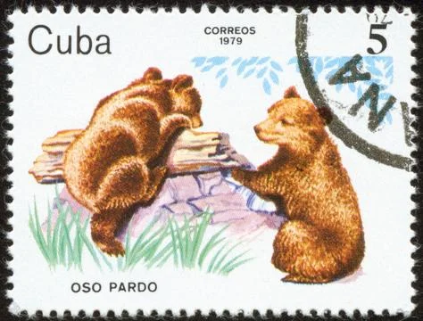 Stamp, macro Stock Photos