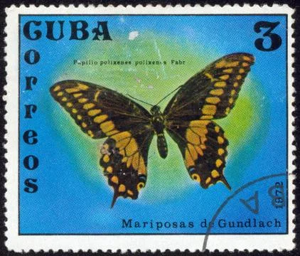 Stamp, macro Stock Photos