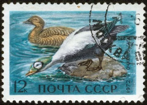 Stamp, macro Stock Photos