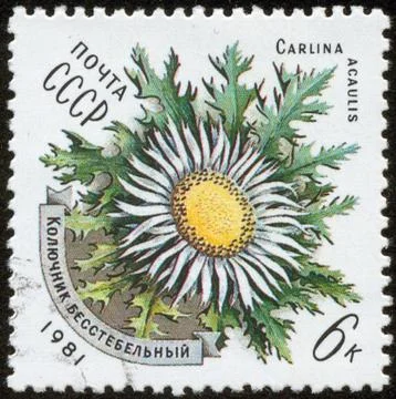 Stamp, macro Stock Photos