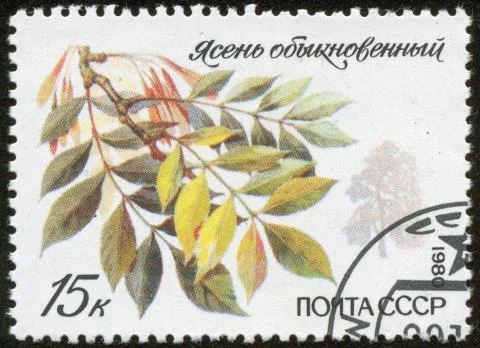 Stamp, macro Stock Photos