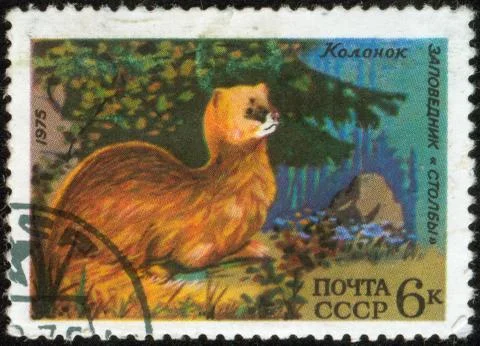 Stamp, macro Stock Photos