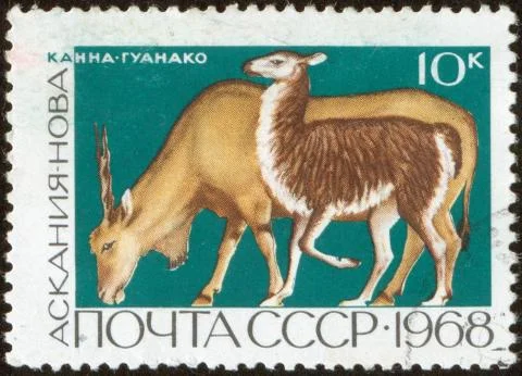 Stamp, macro Stock Photos