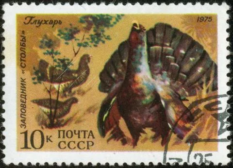 Stamp, macro Stock Photos