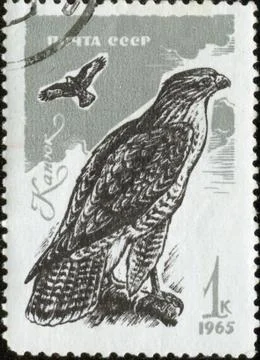 Stamp, macro Stock Photos