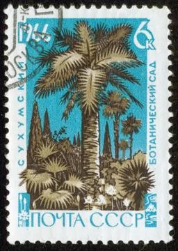 Stamp, macro Stock Photos