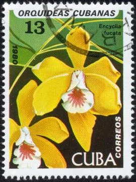 Stamp, macro Stock Photos