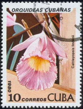 Stamp, macro Stock Photos