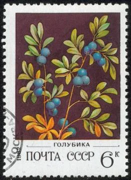 Stamp, macro Stock Photos