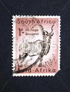 Stamp Stock Photos