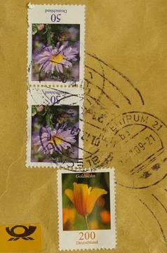 Stamp picture Stock Photos