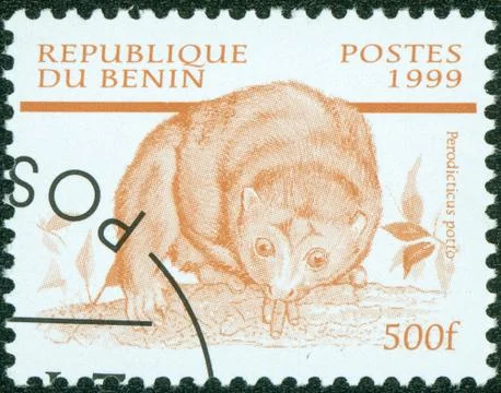 Stamp printed in Benin featuring a perodicus potto, circa 1999 Stock Photos