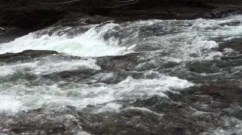 Stamp River Van.Island.m2ts Stock Footage 4120922