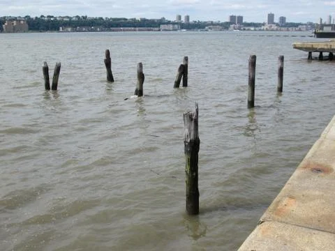 Stand alone 库存照片