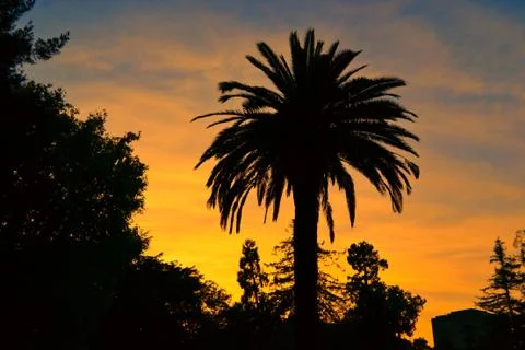 Stand alone Foto stock