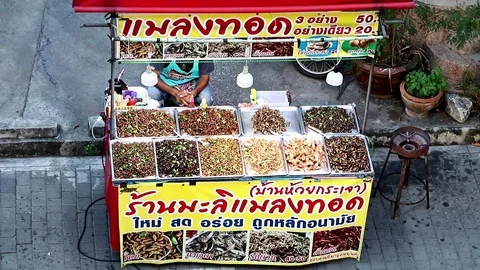 The stand offers roasted insects. Stock Footage 122289328